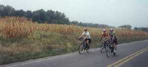 Three riders on the road through cornfields